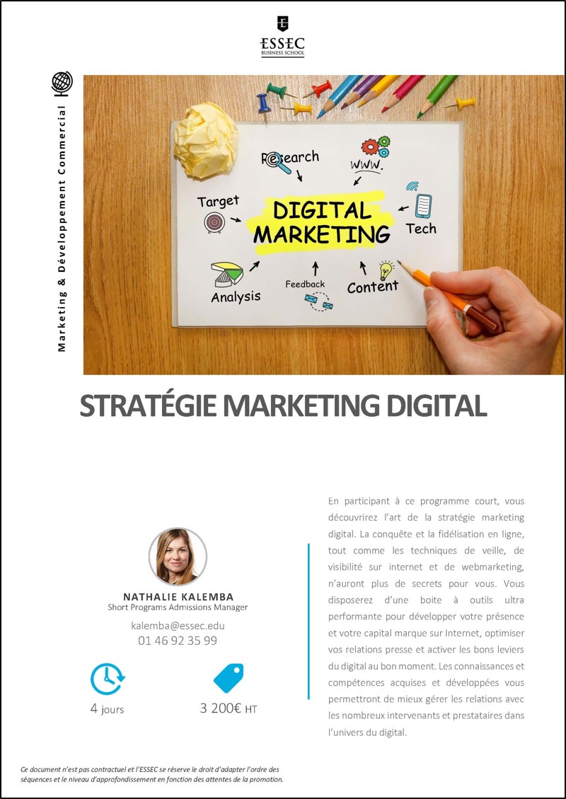 Couverture-Strategie-marketing-digital 140 x 196.jpg